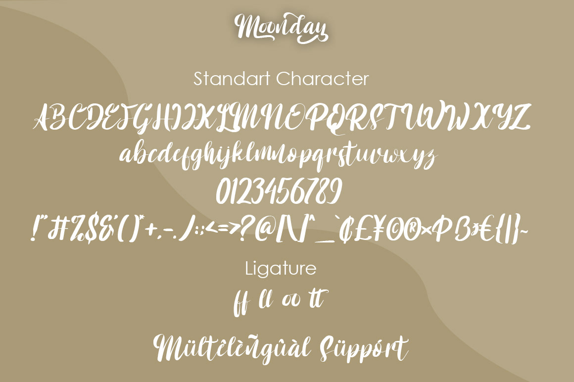 ABC alphabet Calligraphy   design font hand handwritten text typography  