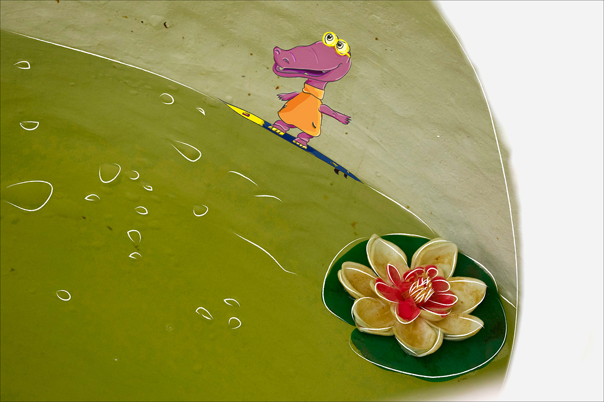 animacion cocodrilo cuento Fotografia ilustracion infantil Surf