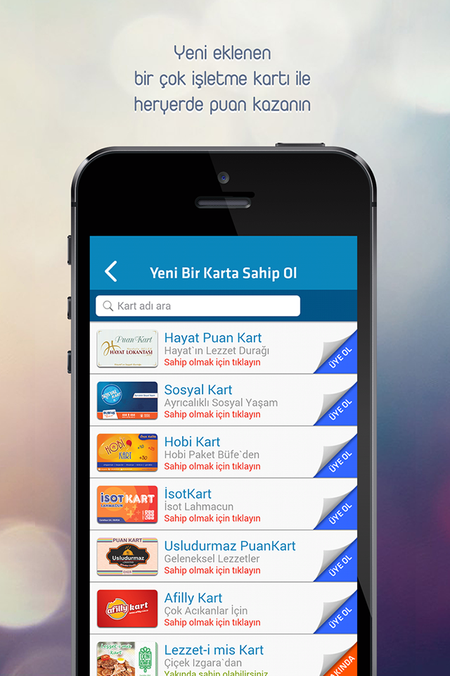 mobil app WALLET card 1001kart UI ux