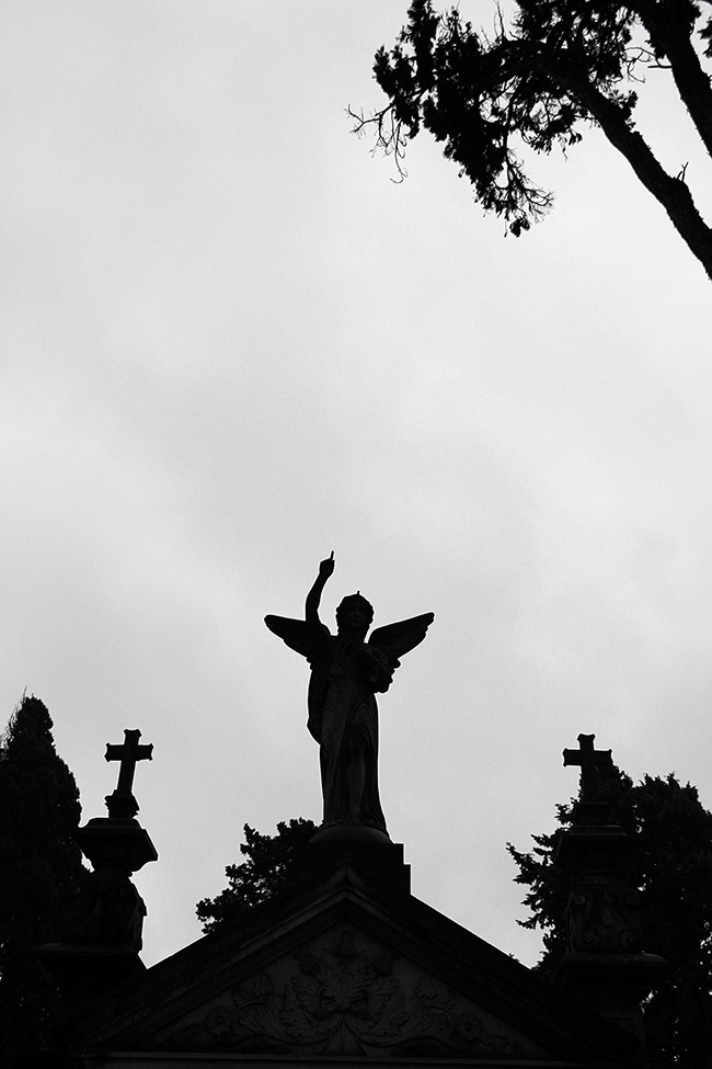 Adobe Portfolio dark black blackandwhite Lisbon Portugal Travel cemetery death