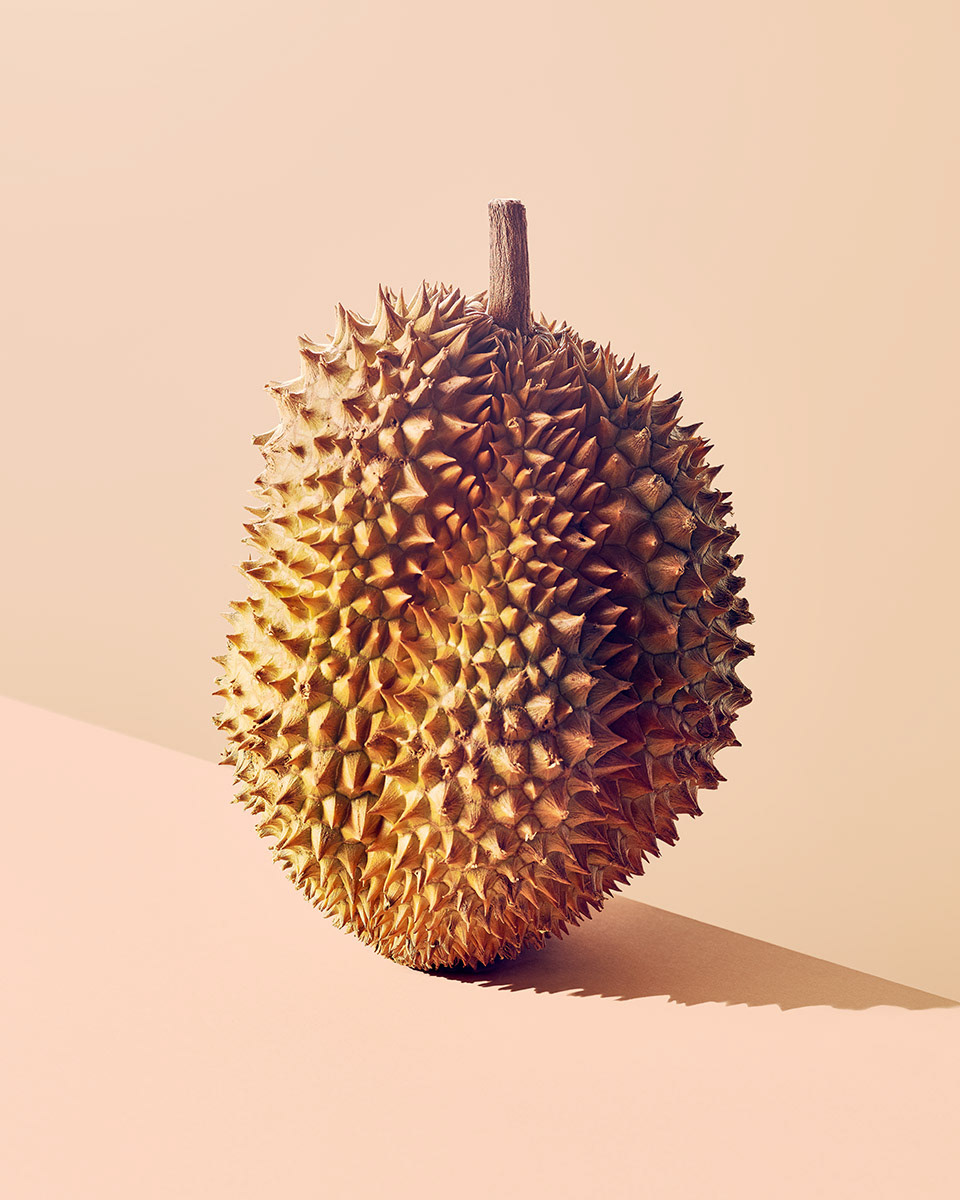 spiky still-life Food  plants ryan szulc