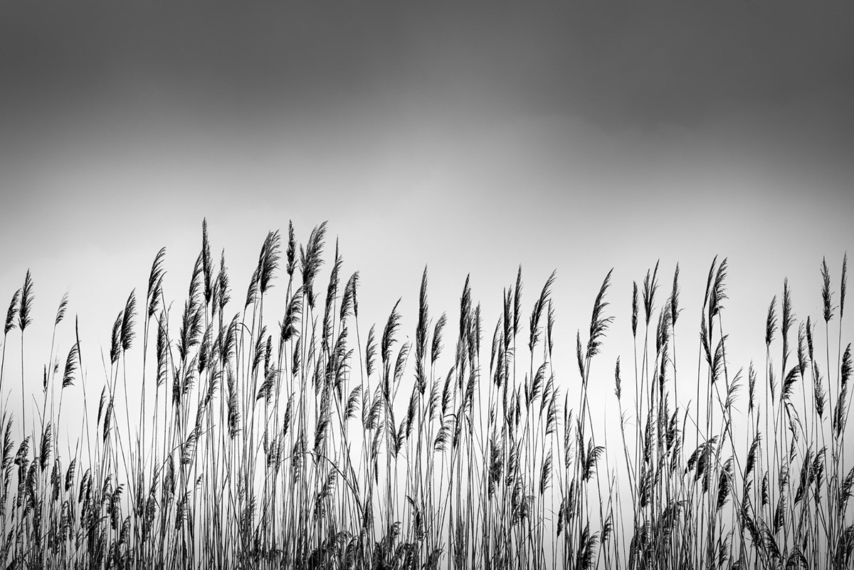 black and white fine art Landscape Nature Photography  silence zen