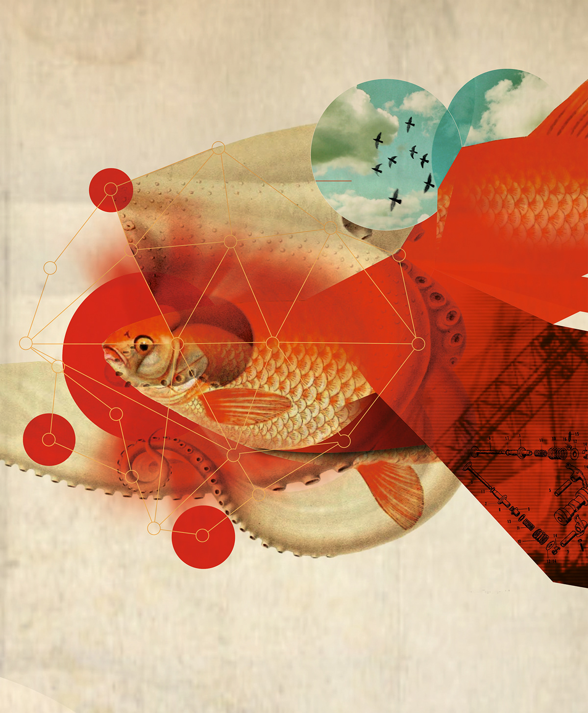 Ito jakuchu  fish  animal Illustraion strange world digital japan Portugal nuno neto
