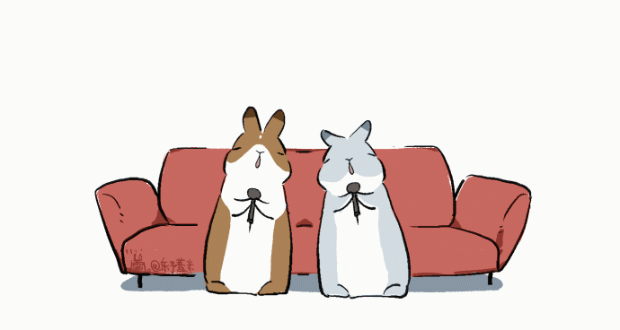 Cat dog gif rabbit animal 2D animation 