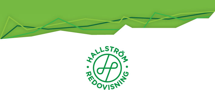 hallstrom redovisning accounting logo seamless pattern iPad iphone diagram infographic business card envelope