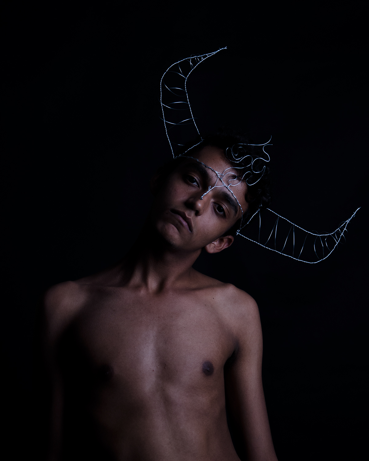 taurus Astrology self-portrait horns wire