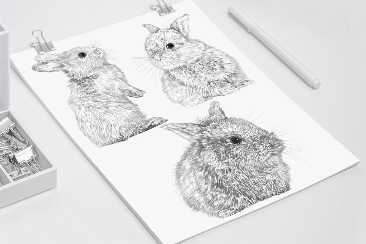 bunny bunnies napkins industrial ILLUSTRATION  digital art cute Italy digitalart