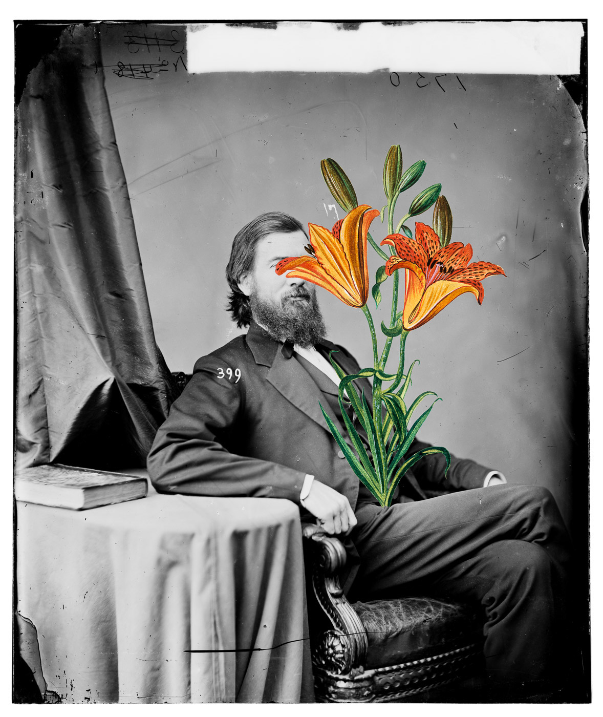 collage humor satire historic floral botanic