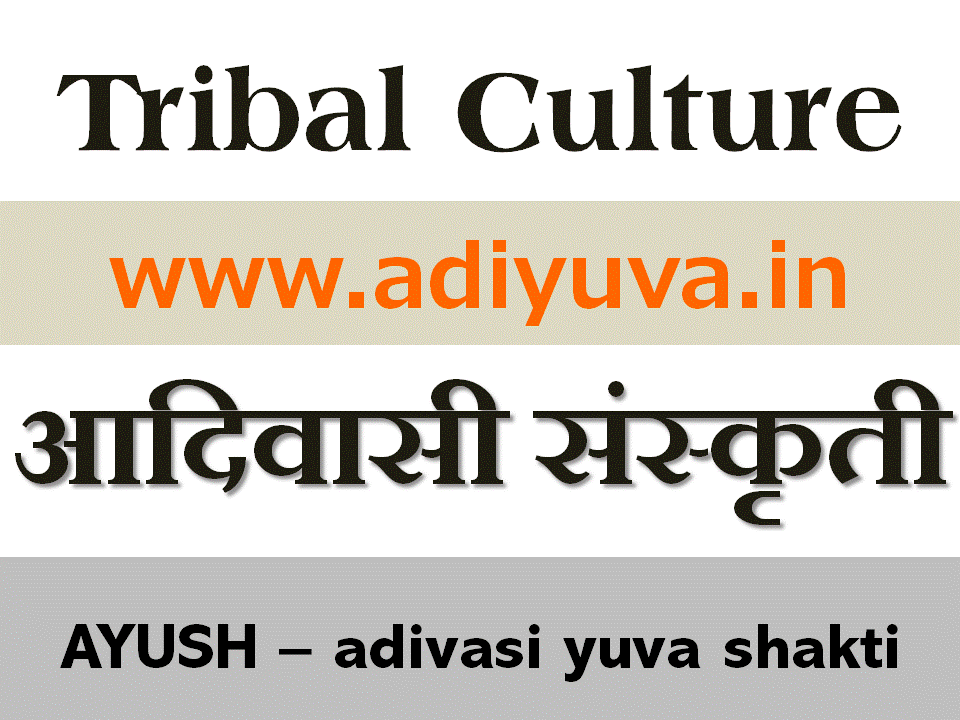 ayush adivasi yuva shakti vanvasi tribal tribal tourism adivasi parytan bhatkanti thane Dahanu adivasi