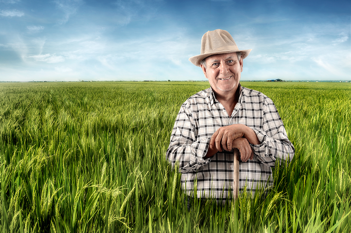 campo abuelo oldman granpa señor arroz
