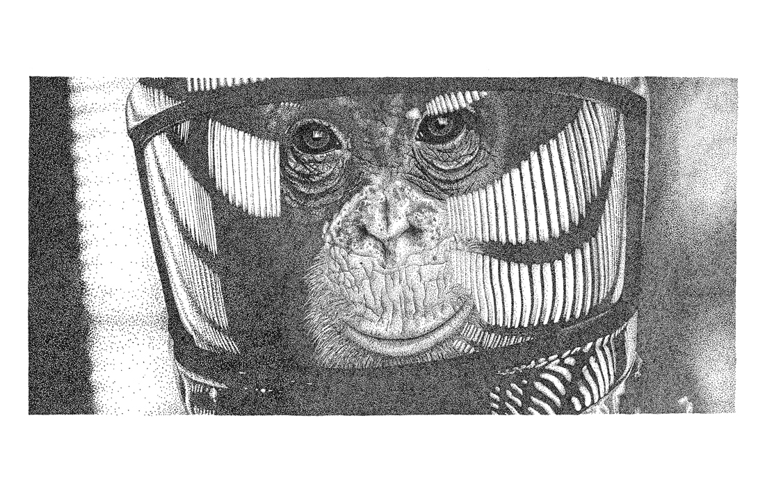 stipple stippling Pointillism space odyssey dots Space  astronaut ape monkey Helmet