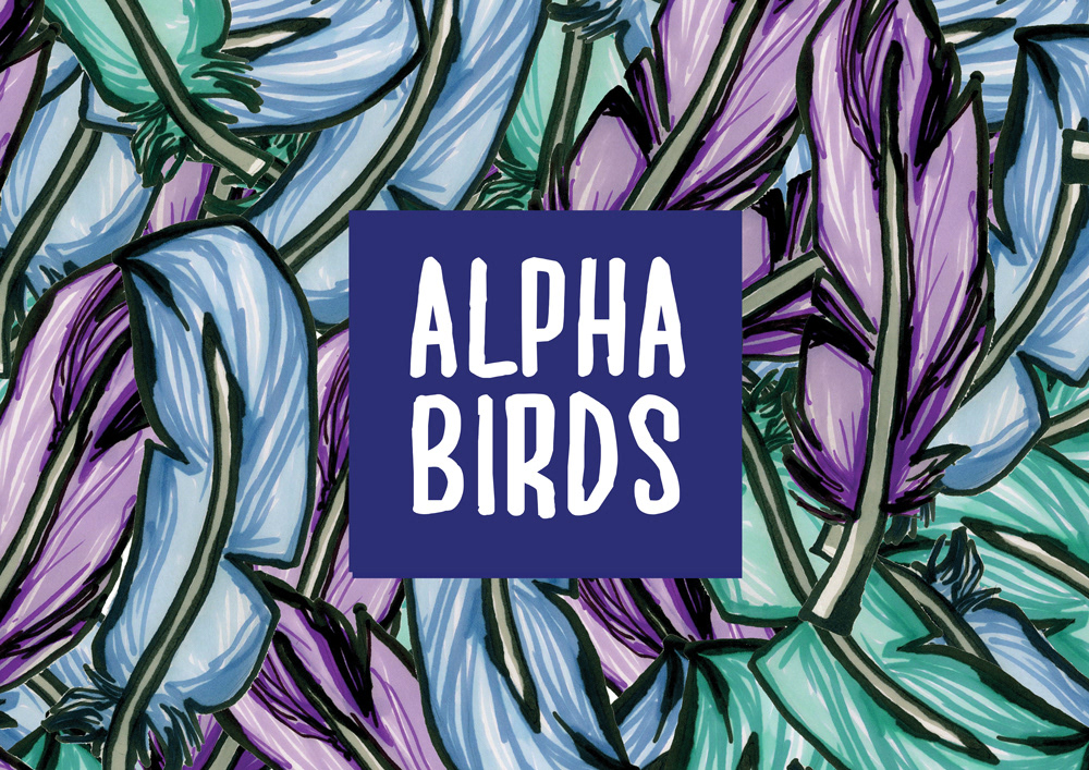birds A-Z alphabet children's dictionary illustrated alphabet