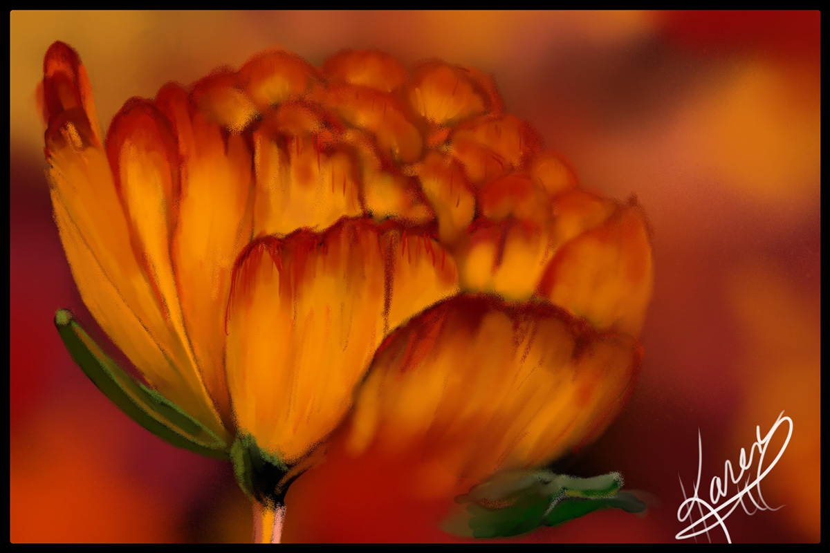 Digital Art  digital painting Drawing  illustrations Flowers