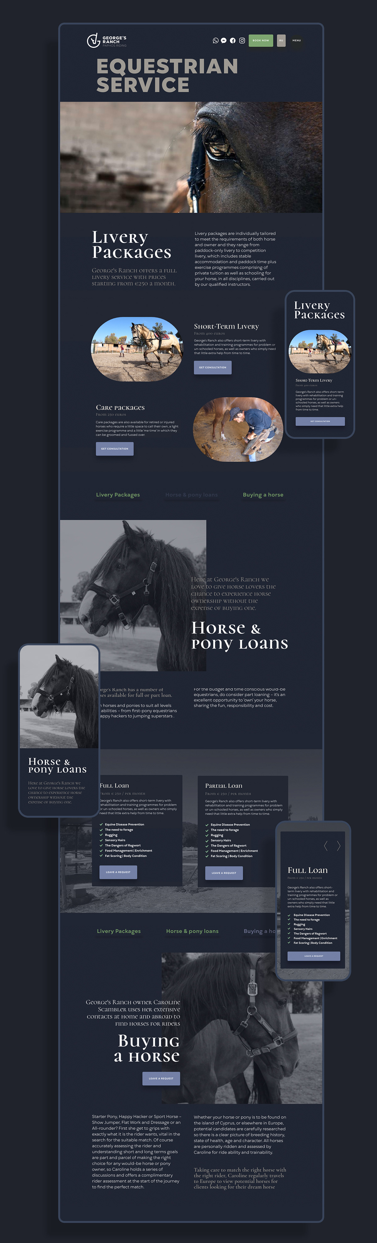 brand identity design horse logo UI/UX ux Web Webdesign Website