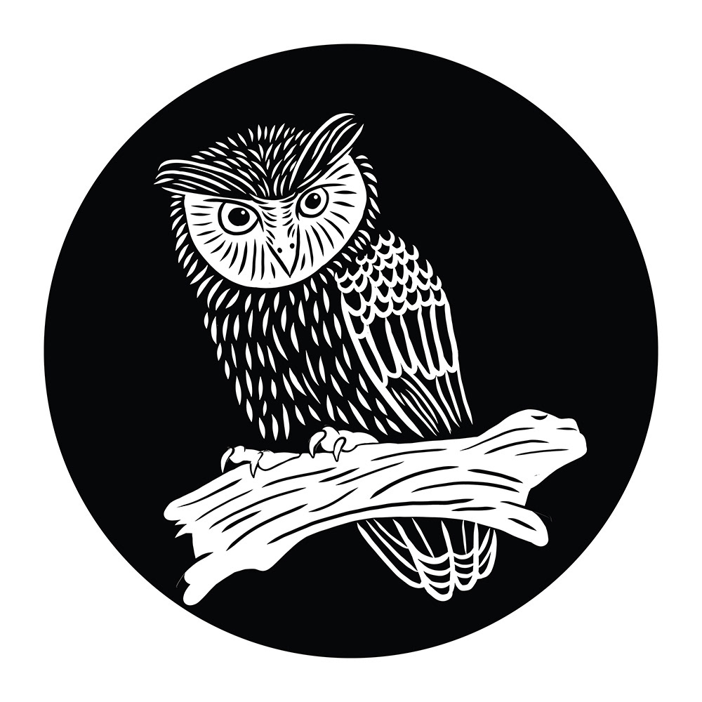 Aarav SwatiManish bird black and white line art line drawing Nature night owl owls