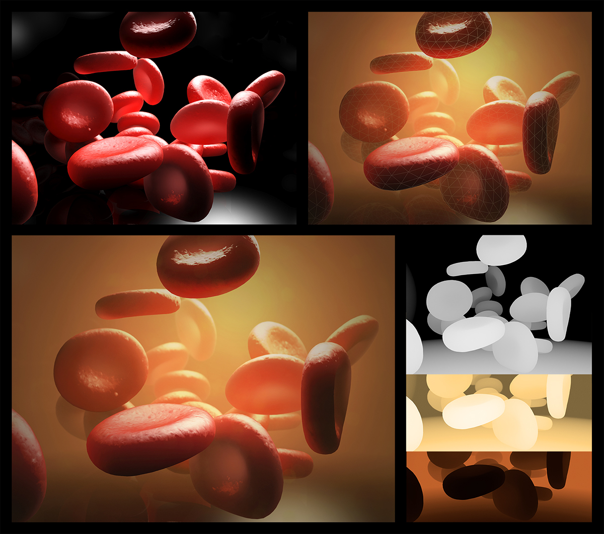 blood cells biology anatomy rendering cellular particle system mparticles