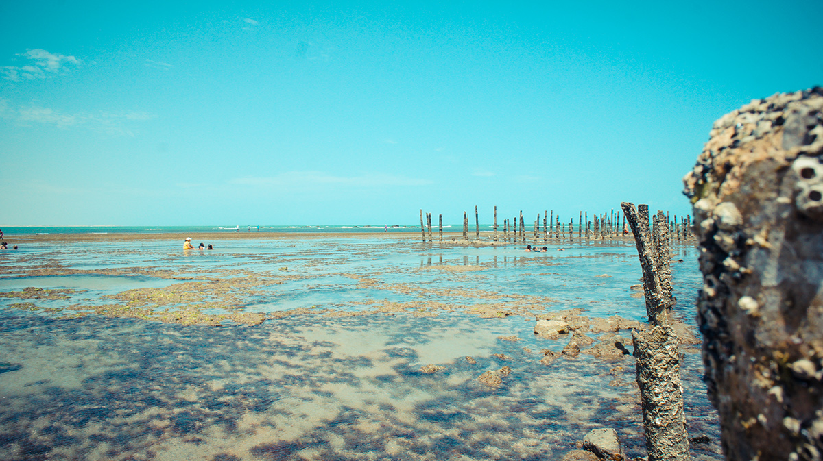 flecheiras   trairi ceará Brazil beach paradise sunset