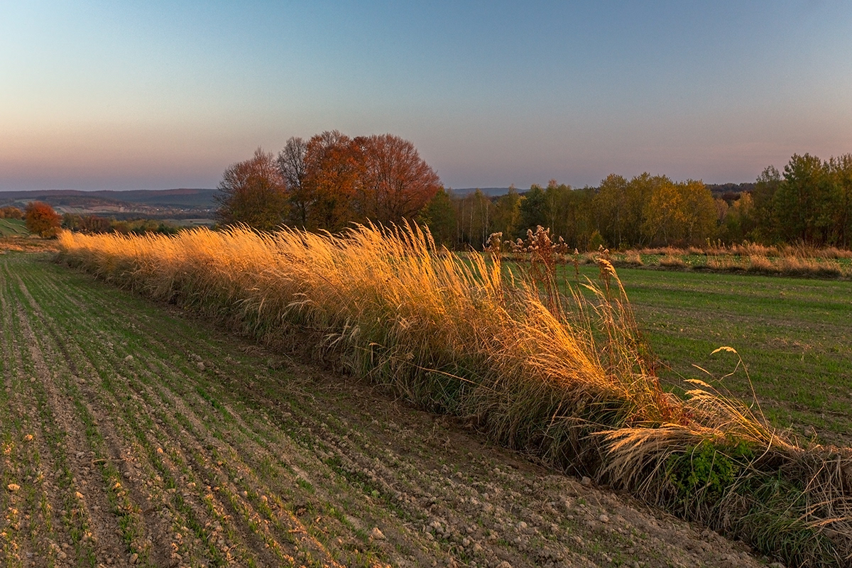 agriculture autumn forest grass hills horizon Landscape light rural sunset