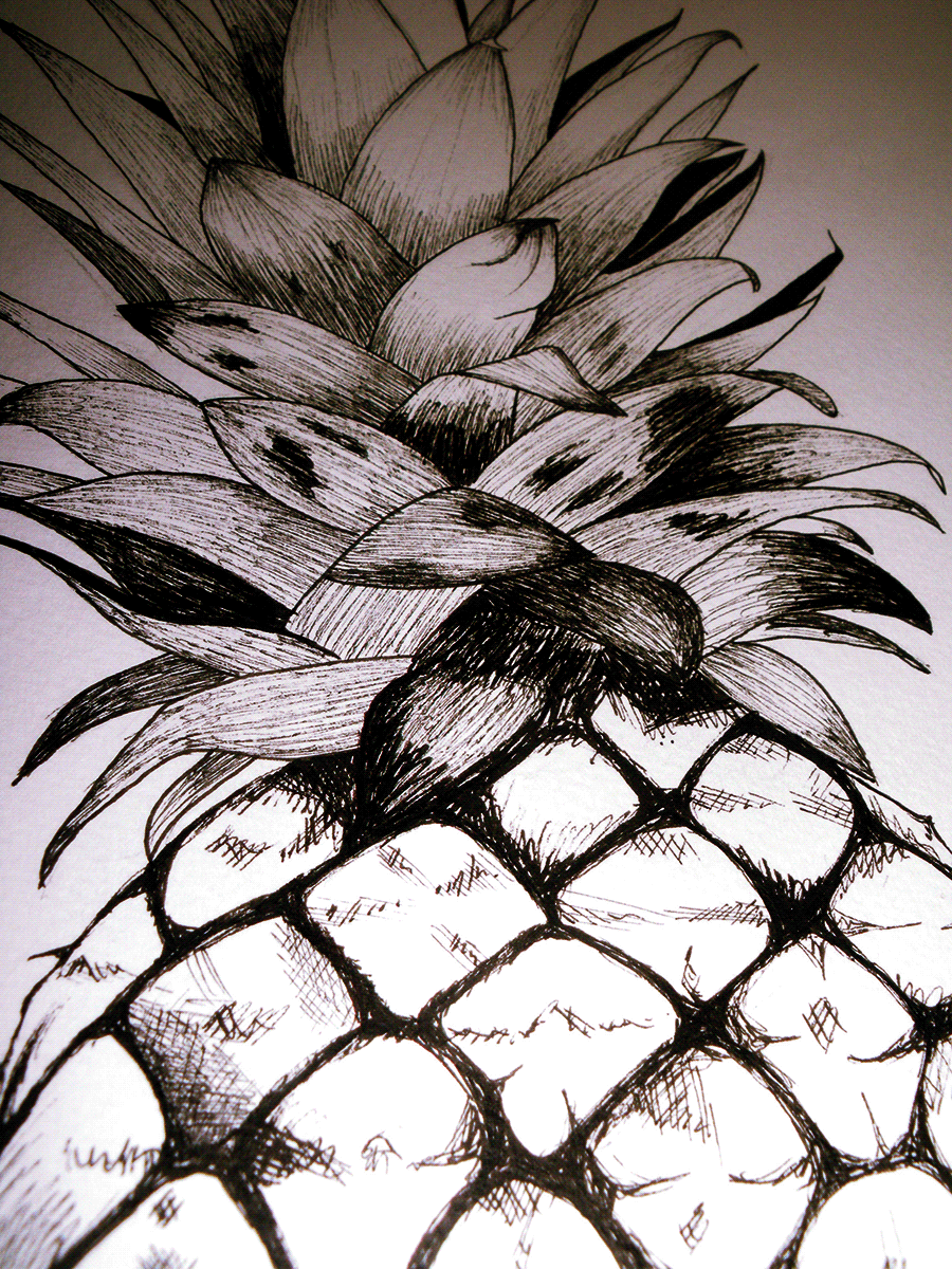 ananas Fruit ink black and white Artline pineaple inked