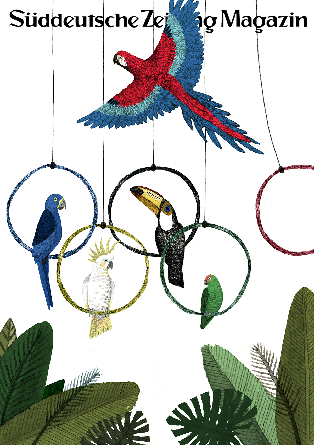 magazine parrots Olympics olympic aviary toucan Cockatoo leaf
