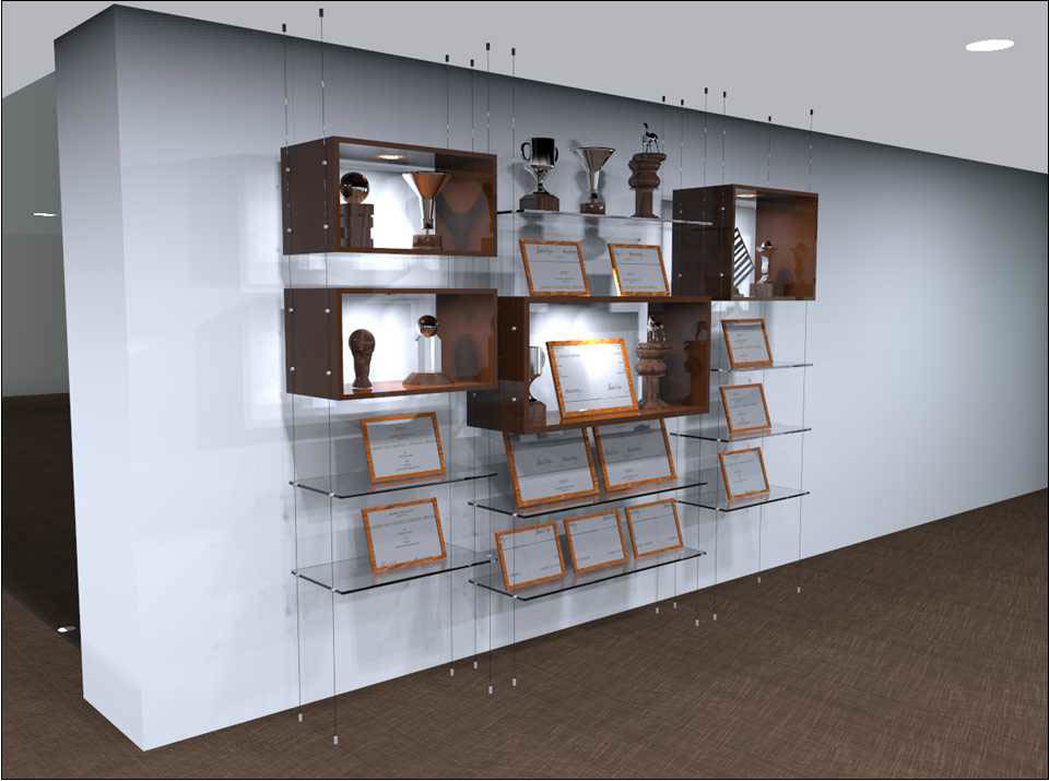 wall Shelf trophy Display cabinet