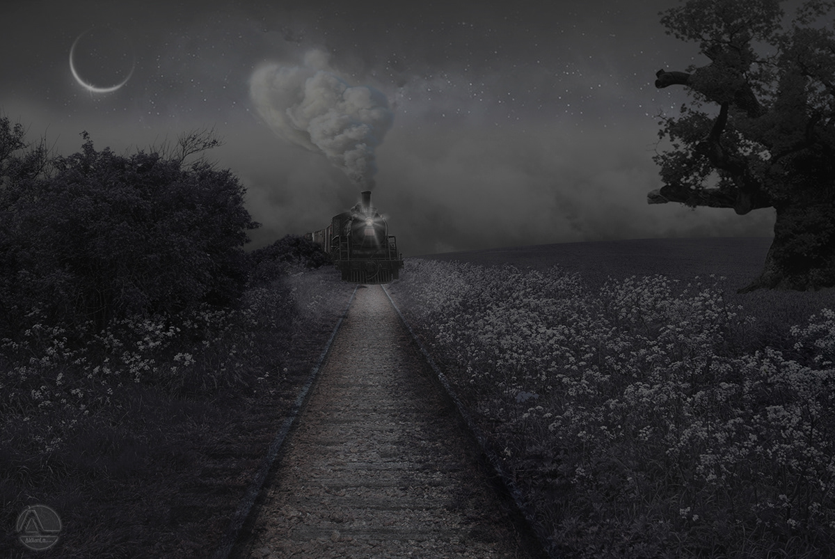 fantasy Night Train train