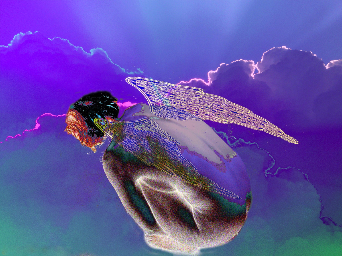wings bird blue angel conceptual poems