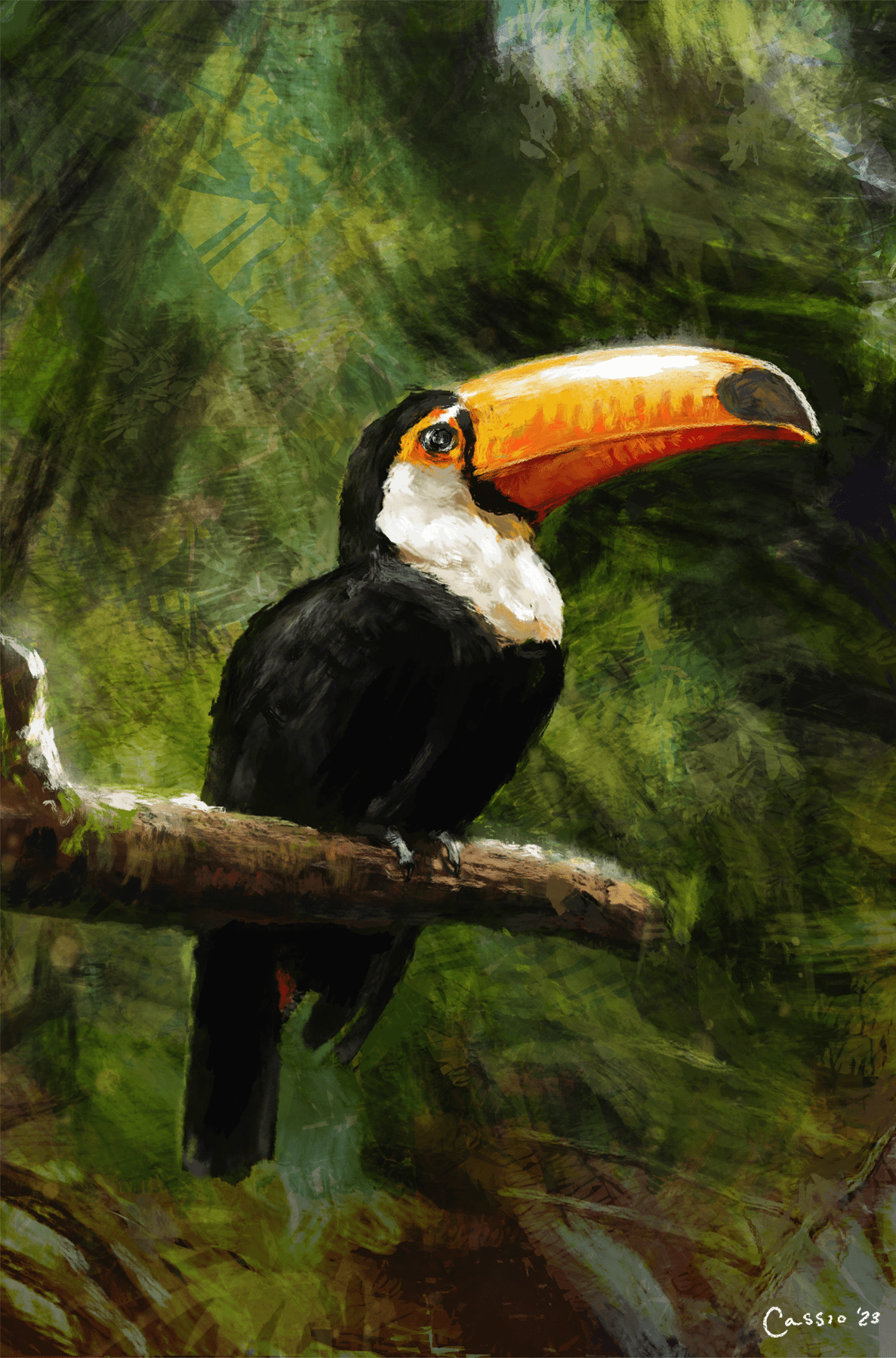 animals artwork bird Digital Art  digital illustration digitalpainting Drawing  painting   toucan tucano