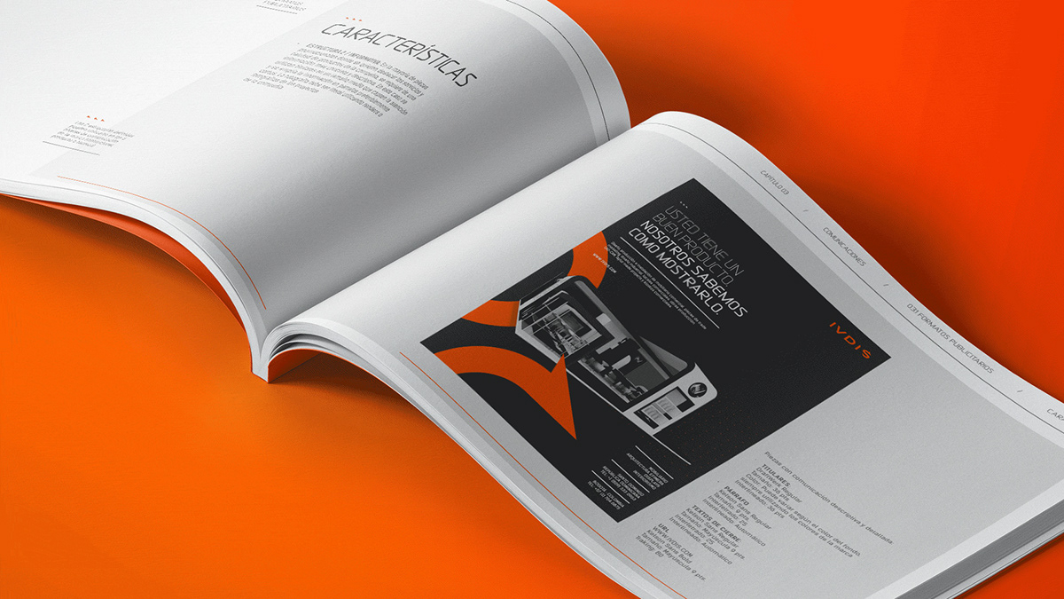 rebranding visual identity orange branding  business card Brand Design Logo Design Logotype dragon Stationery