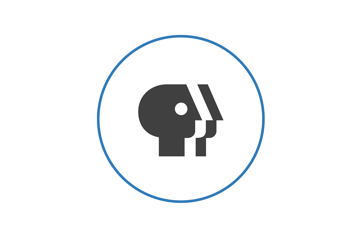 PBS Public Broadcasting Service brand redesign badge Blog calendar article logo