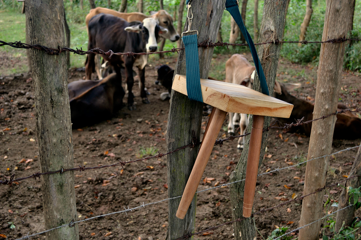 cow banco Burro camp colombia Nature jardin garden plywood eficient bench seat sentar comfortable easy