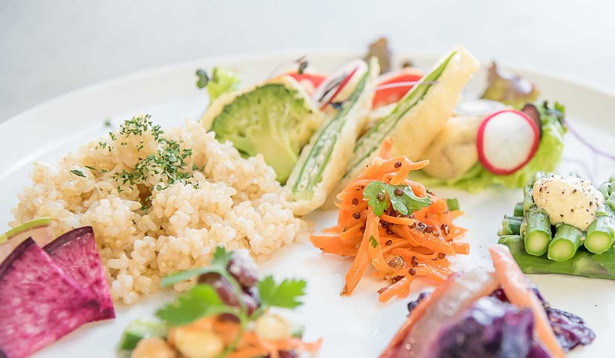 Web logo branding Food vegetable color package Responsive japan tokyo