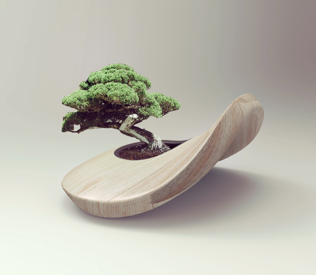 Plant balance minimal zen environmental concept bonsai garden eco friendly