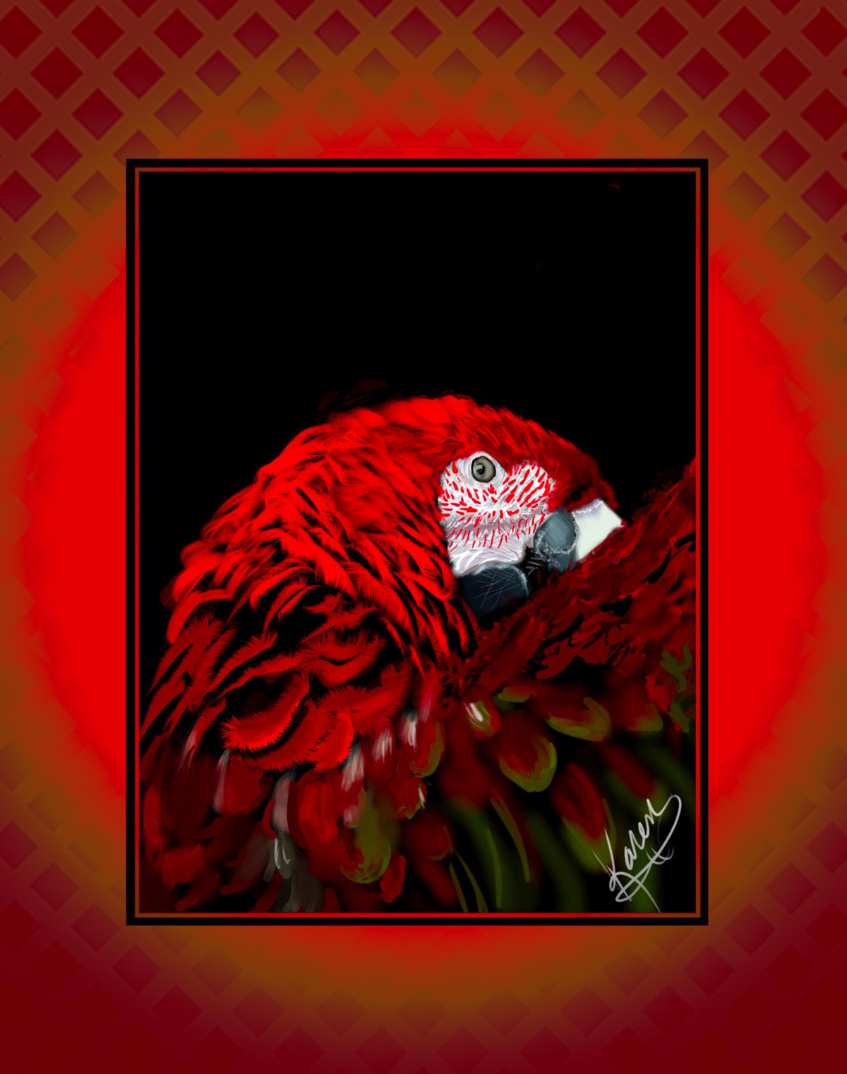 Digital Art  digital painting Drawing  illustrations animals birds macaws