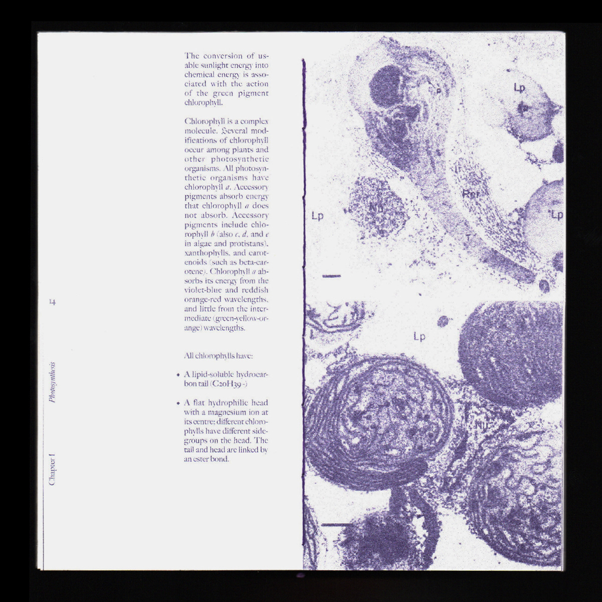 publication Riso risograph biology book book design editorial contemporary Bookbinding