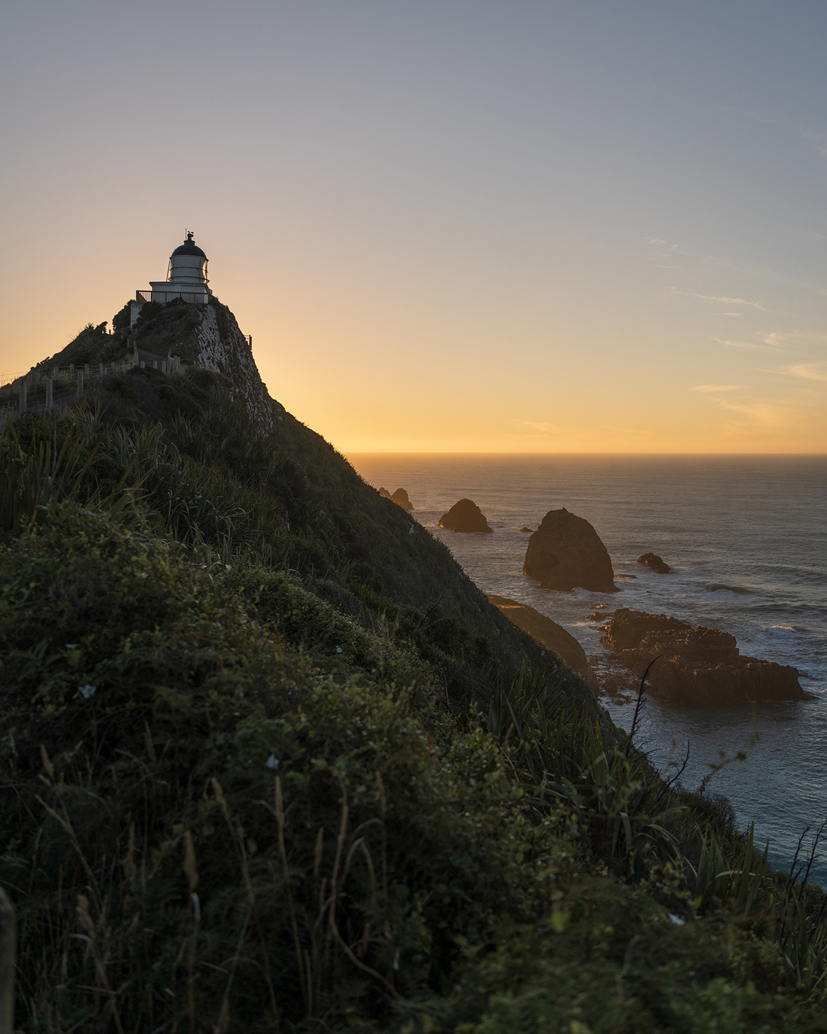 Nugget Point Lighthouse in New Zealand at sunrise.