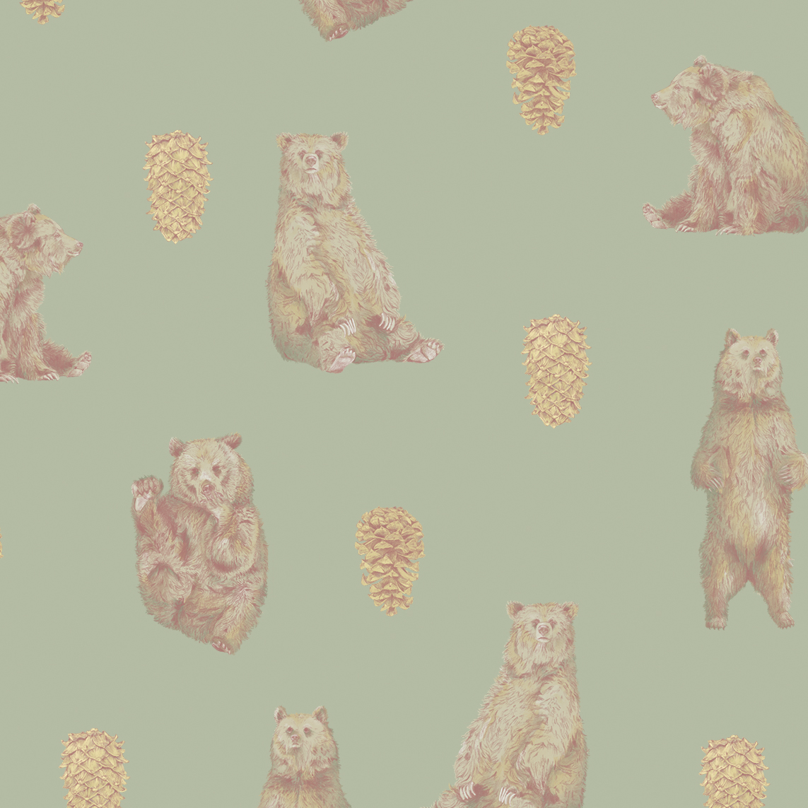 bear pine pencil digital pale animals animal Nature plants pattern