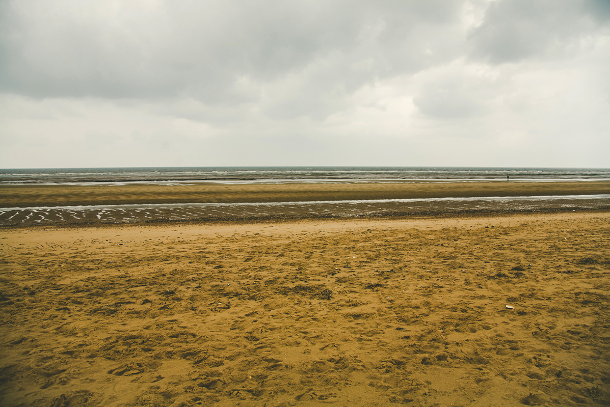 Coast sea beach Landscape Moody North Norfolk dune path sandy