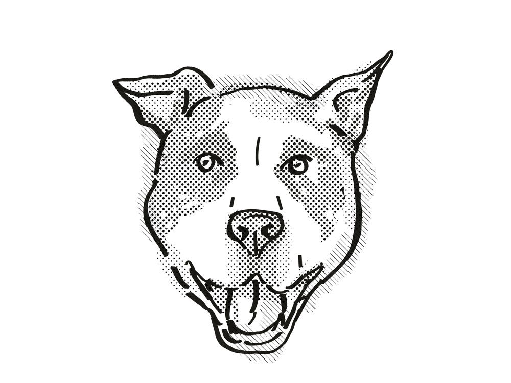 Retro cartoon Drawing  american pit bull terrier pit bull dog canine domestic dog