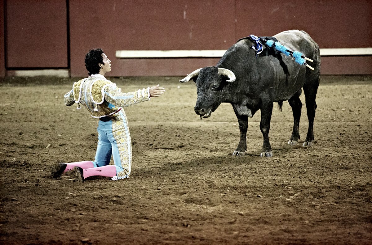 central valley bullfight