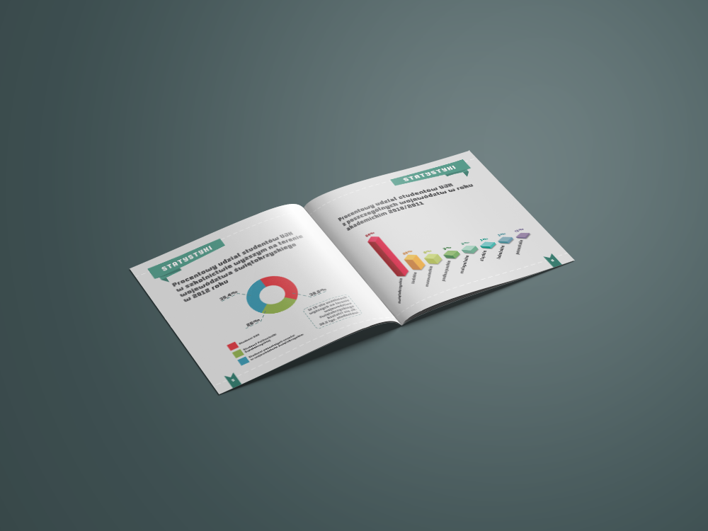 graphic design  infographics statistic diagrams directory Catalogue