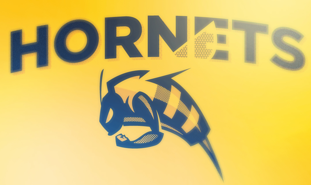 sports logo team school hornets bee yellow jacket shark indian horse tiger panther football basketball
