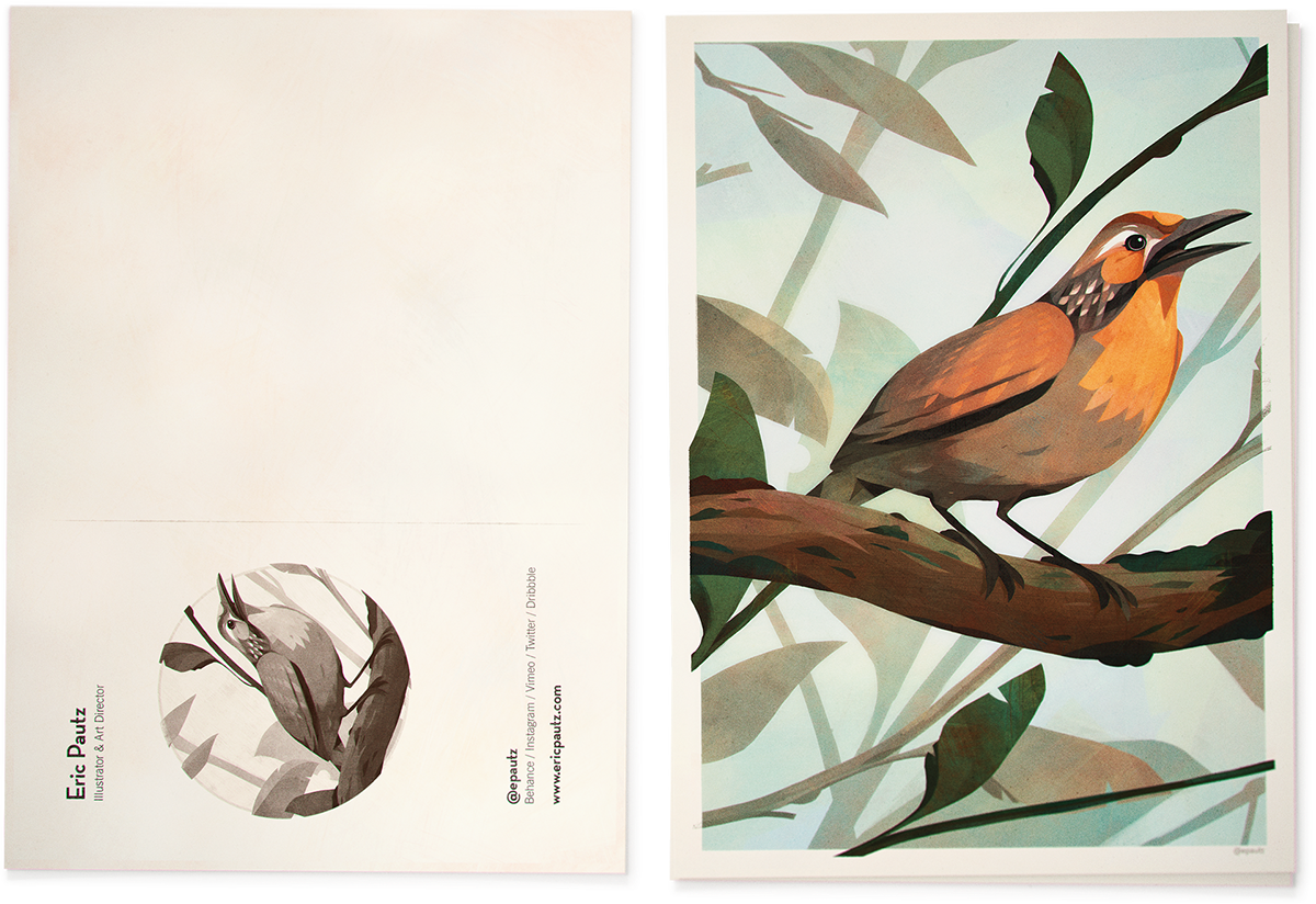 birds Brazil postcards print vintage antique scientific animal fauna color