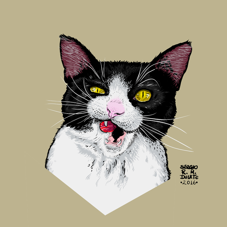Cat crazy vector funny Illustrator digitalart art arte Digital Arte