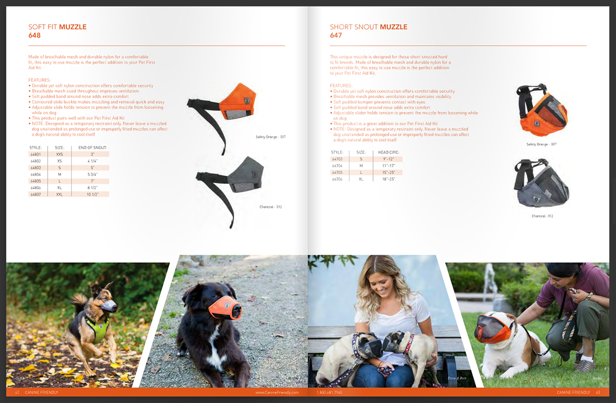 pet products Catalogue design editorial