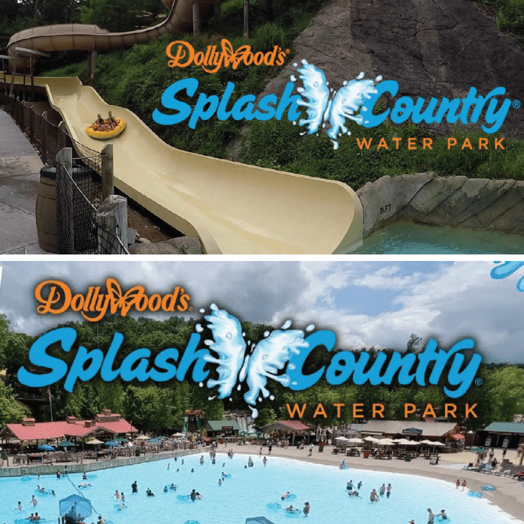 Brand Design butterfly dollywood identity Logo Design splash country vector visual identity waterpark watersplash