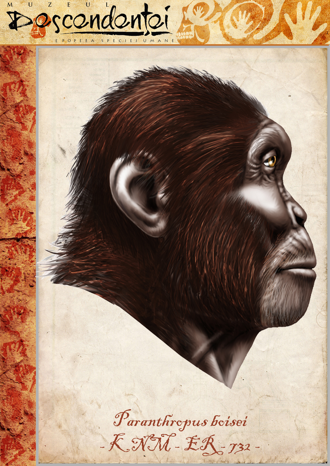 homo neanderthal neanderthalensis erectus ergaster habilis heidelbergensis paranthropus cavemen apeman ice age hominin evolution human boisei