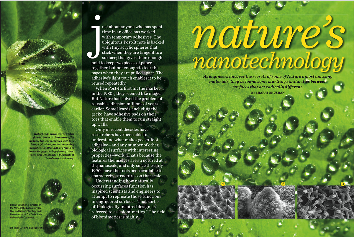 gecko science Nature cover nonprofit magazine Lotus Water Drops nano science Technology