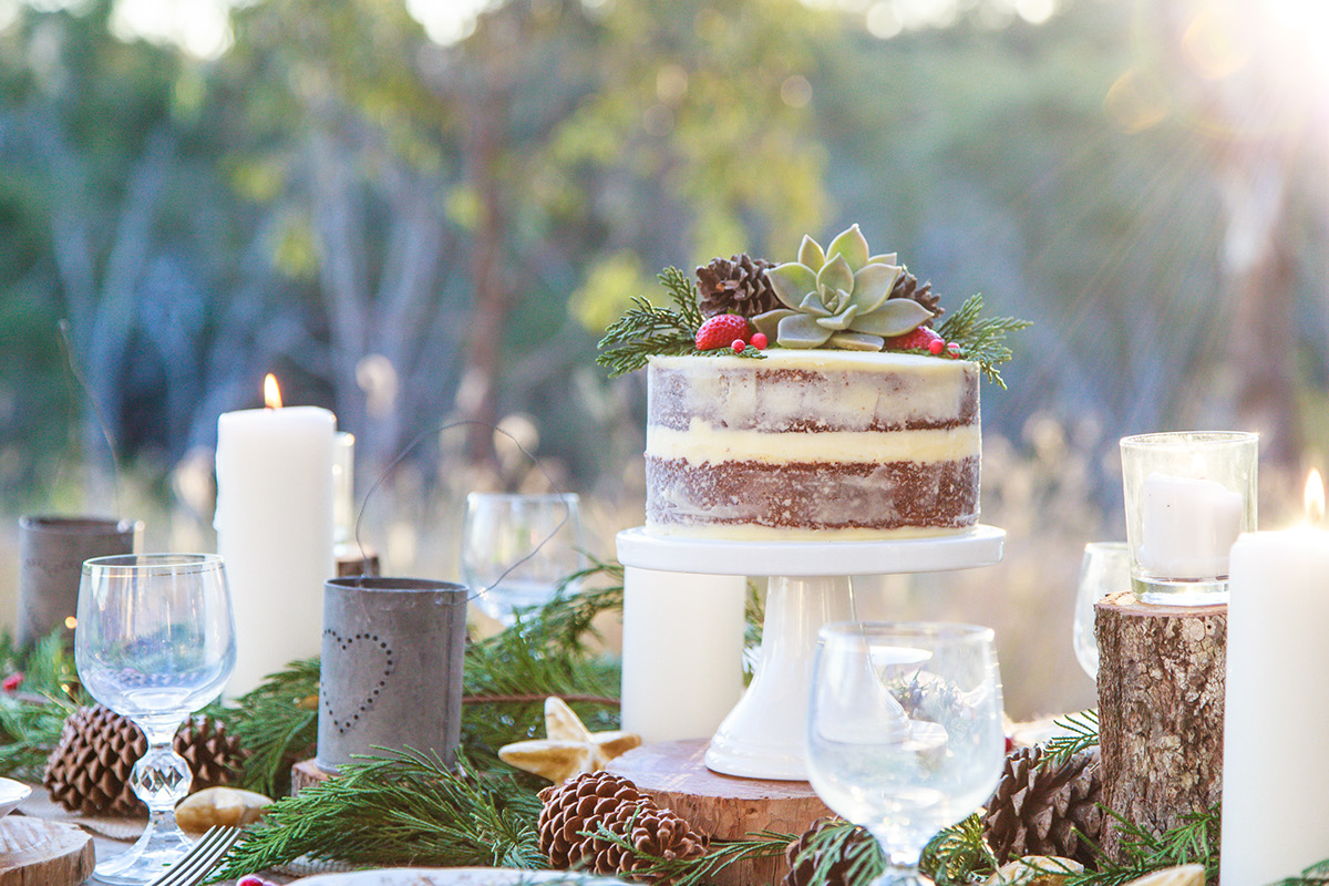 rustic Christmas tablescape Outdoor Paddock wedding Naked Cake natural setting