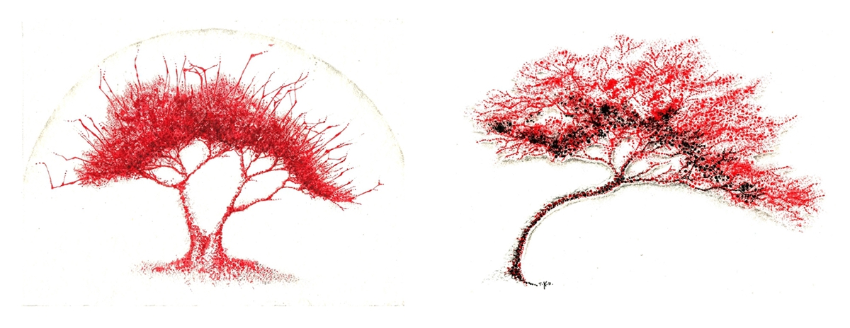 Adobe Portfolio Tree  arbre arbol roots pencil ink